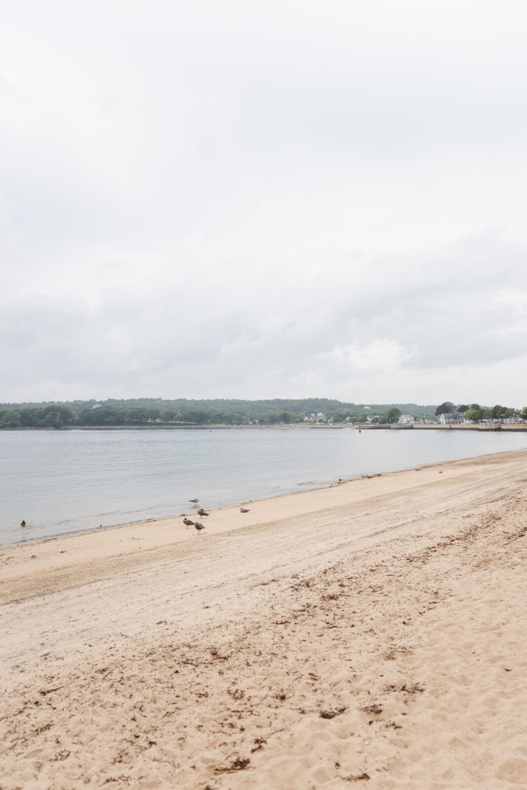 Beauport Gloucester Wedding 